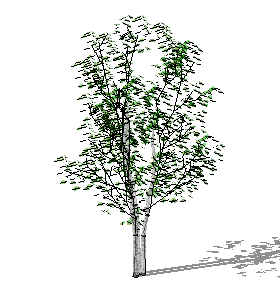 ֲSketchUpģ