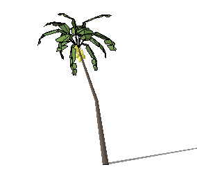 ֲSketchUpģ