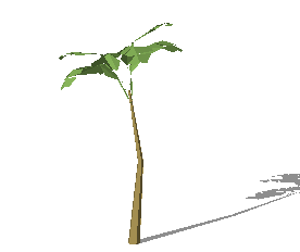 ֲSketchUpģ