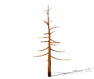 ֲSketchUpģ