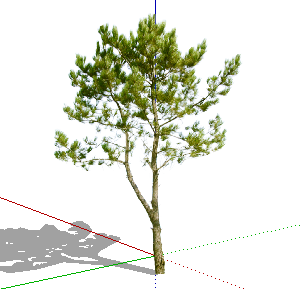 ֲSketchUpģ
