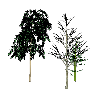 ֲSketchUpģ