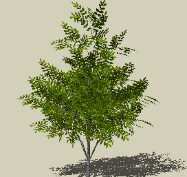 ֲSketchUpģ