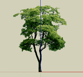 ֲSketchUpģ