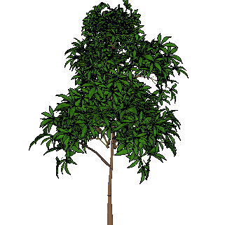 ֲSketchUpģ