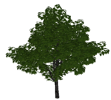 ֲSketchUpģ