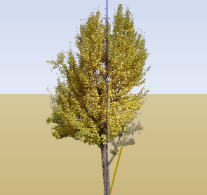 ֲSketchUpģ
