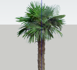 ֲSketchUpģ