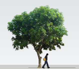 ֲSketchUpģ