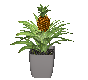 ֲSketchUpģ