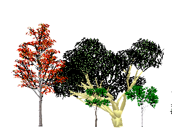 ֲSketchUpģ