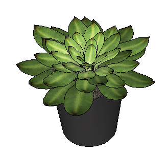 ֲSketchUpģ