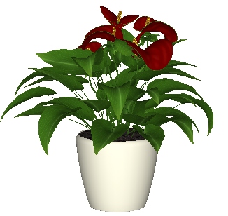 ֲSketchUpģ