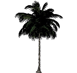 ֲSketchUpģ