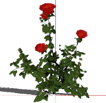 ֲSketchUpģ