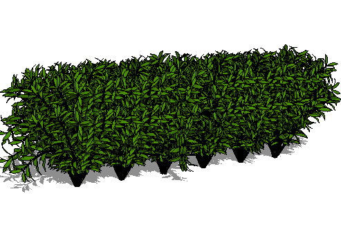 ֲSketchUpģ
