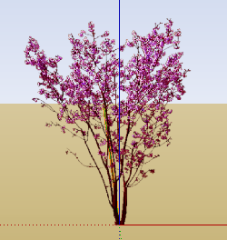 ֲSketchUpģ