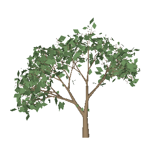 ֲSketchUpģ