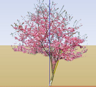 ֲSketchUpģ