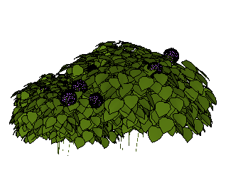 ֲSketchUpģ