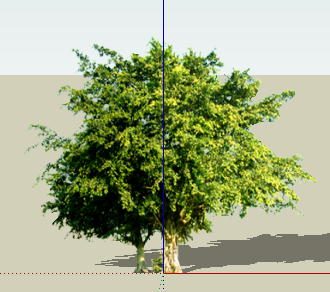 ֲSketchUpģ