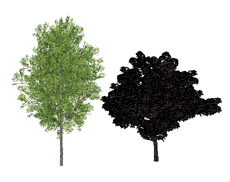 ֲSketchUpģ