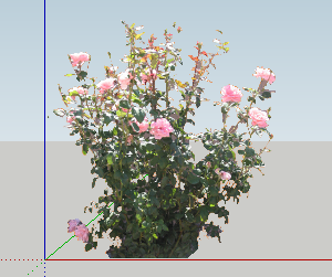 ֲSketchUpģ
