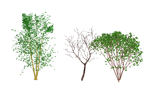 ֲSketchUpģ