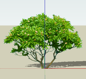 ֲSketchUpģ