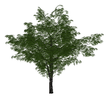 ֲSketchUpģ