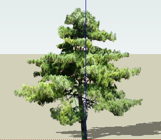 ֲSketchUpģ