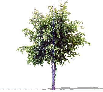 ֲSketchUpģ