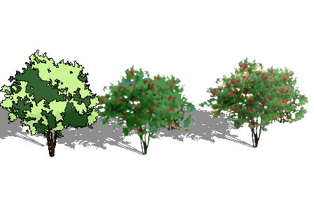ֲSketchUpģ