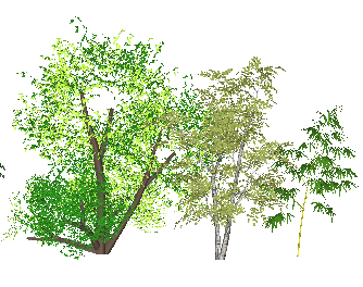 ֲSketchUpģ