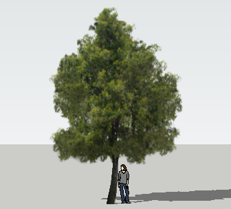 ֲSketchUpģ