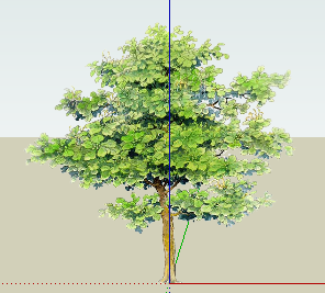 ֲSketchUpģ