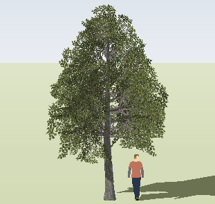ֲSketchUpģ