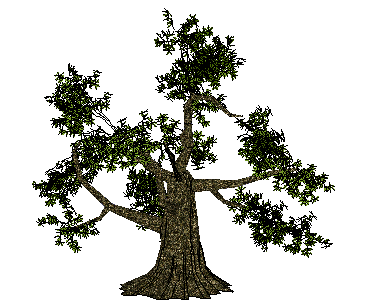 ֲSketchUpģ