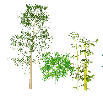 ֲSketchUpģ
