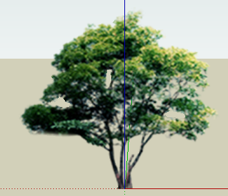 ֲSketchUpģ
