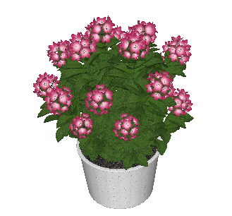 ֲSketchUpģ