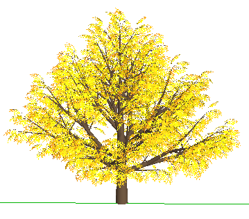 ֲSketchUpģ