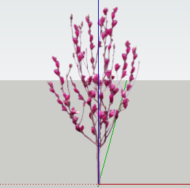 ֲSketchUpģ