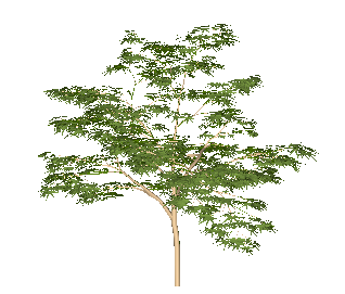 ֲSketchUpģ