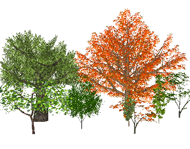 ֲSketchUpģ