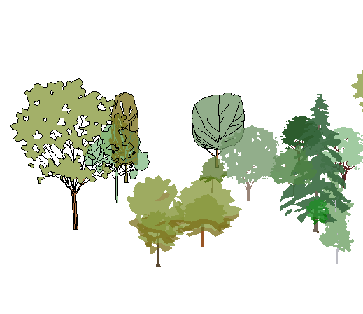 ֲSketchUpģ