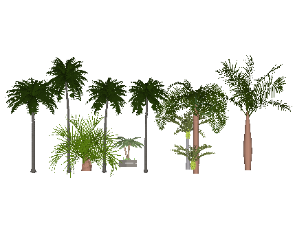 ֲSketchUpģ
