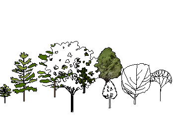 ֲSketchUpģ