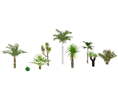 ֲSketchUpģ
