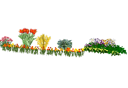 ֲSketchUpģ